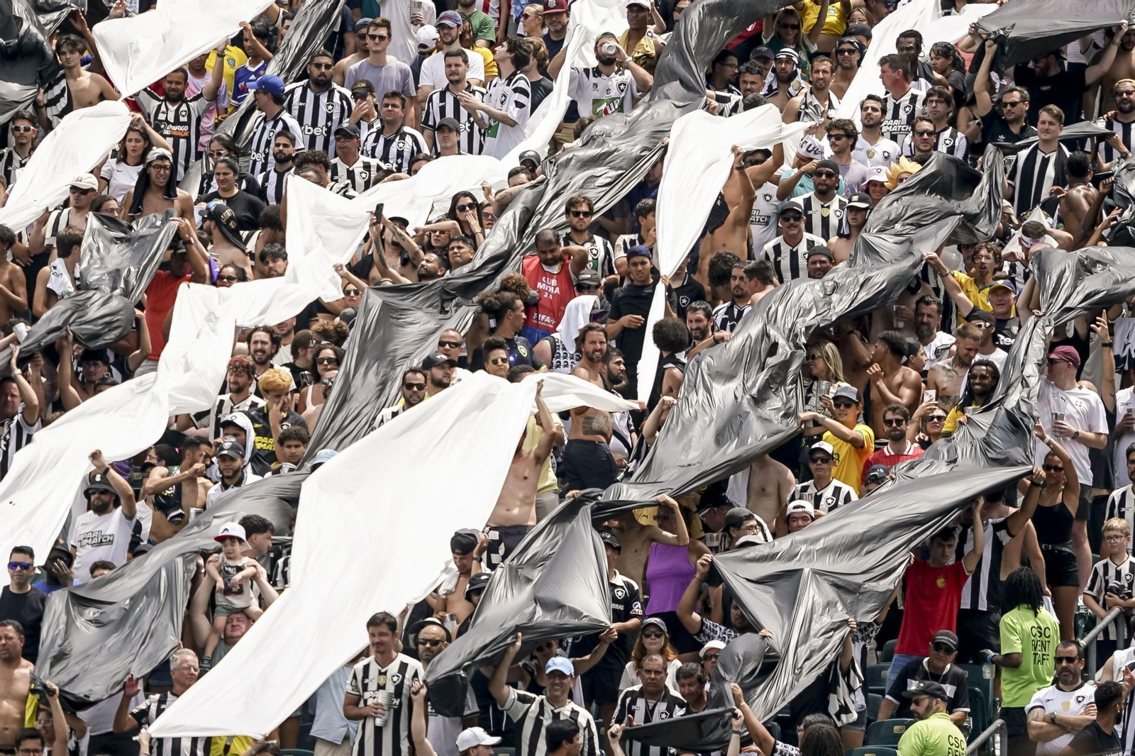 Palmeiras-Botafogo (22).jpg