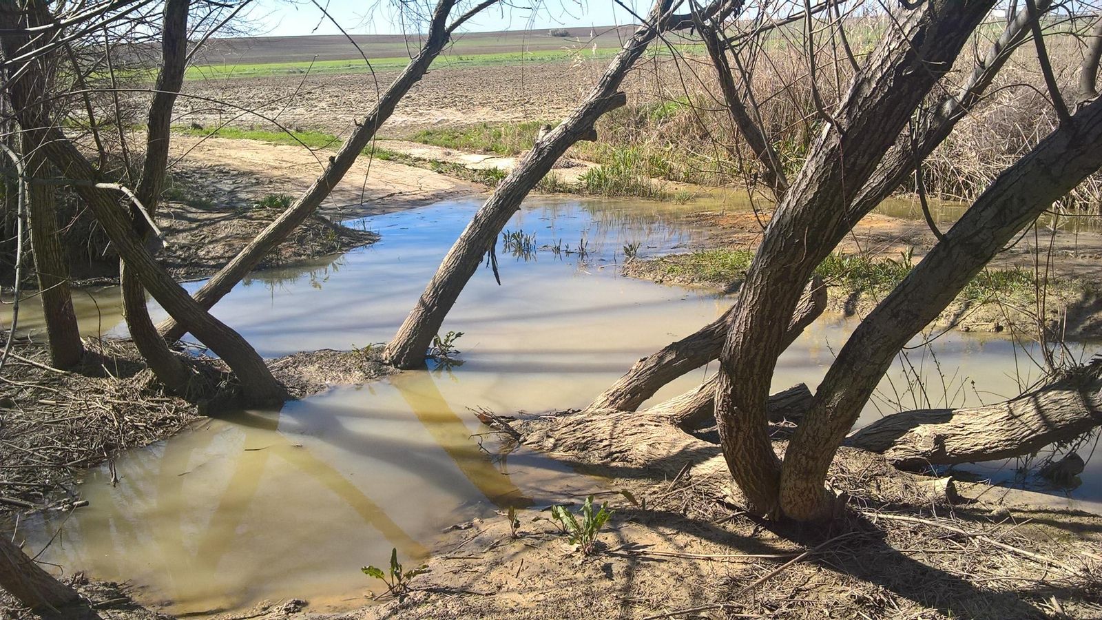 El arroyo de Los Molinos, gran obstáculo antes de llegar a Guillena.