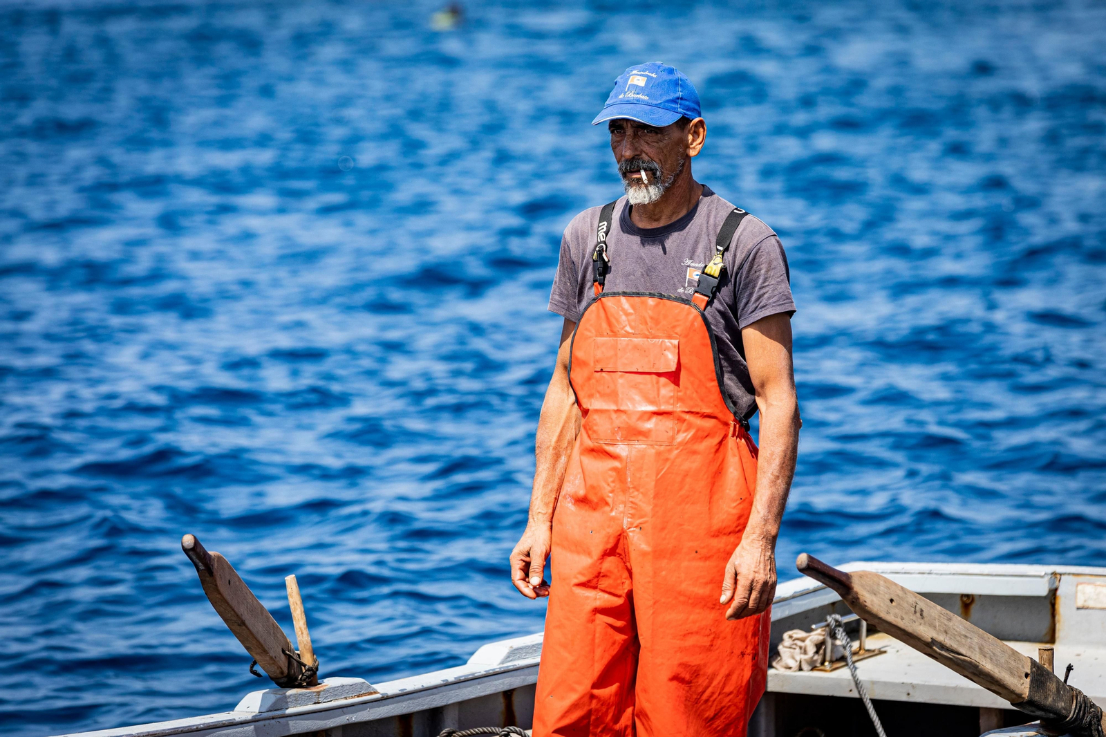 Las imágenes de la primera levantá en la almadraba de Barbate