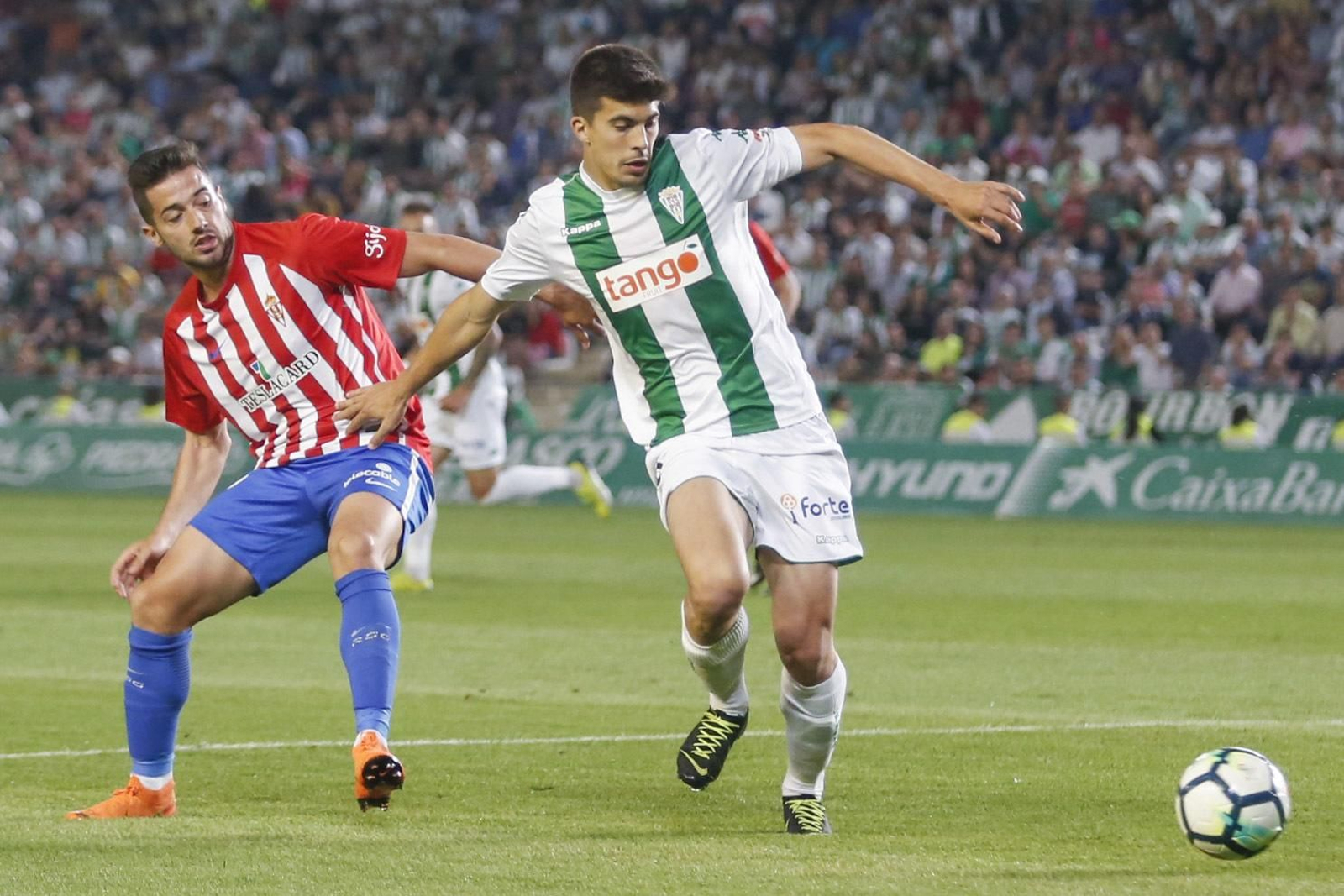 El Córdoba CF-Sporting de Gijón, en imágenes