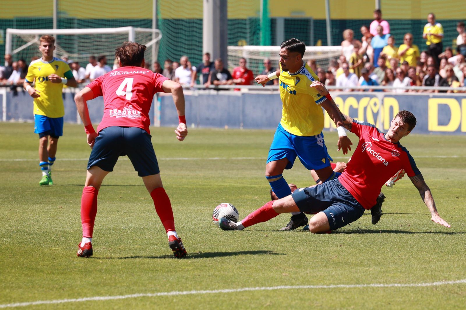 Las fotos del Cádiz C-Guadiaro, final del ascenso a División de Honor Andaluza