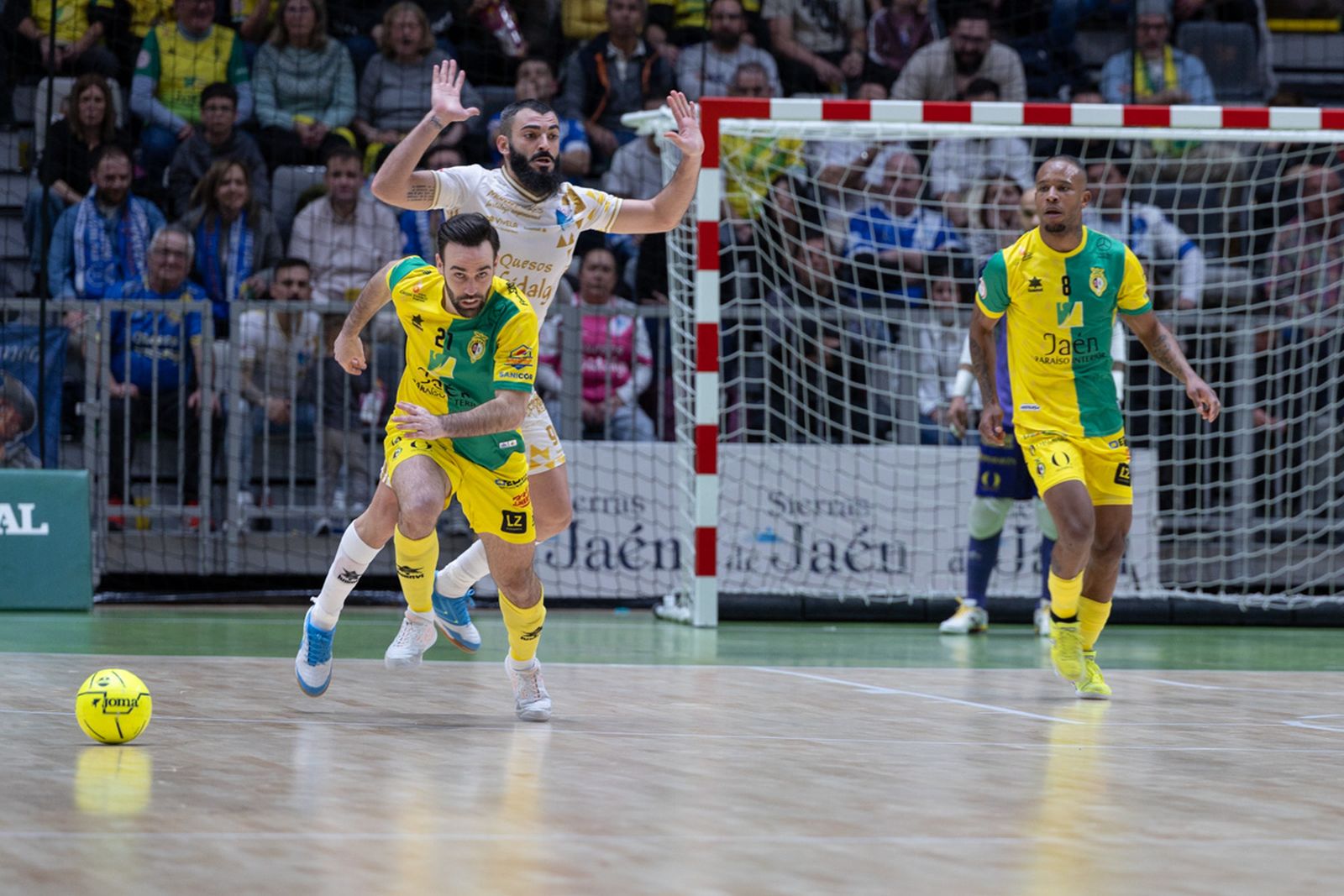 Las mejores imágenes del Jaén Paraíso Interior FS - Quesos El Hidalgo Manzanares