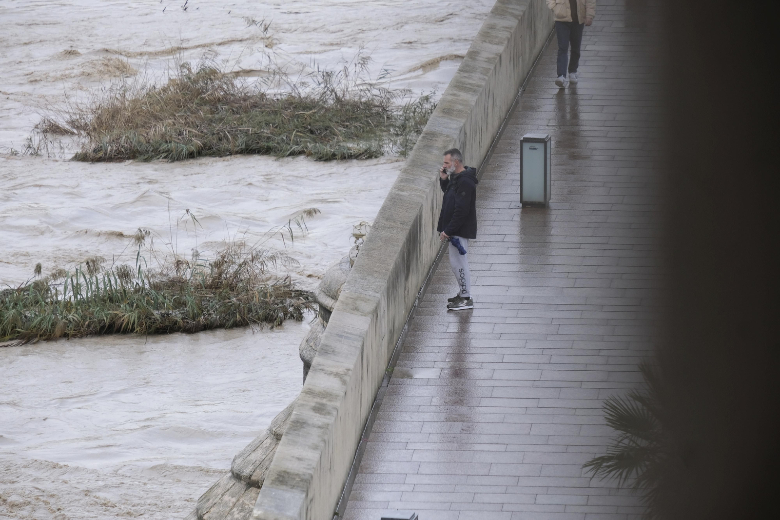 La crecida del río Guadalquivir tras las lluvias en Córdoba, en imágenes