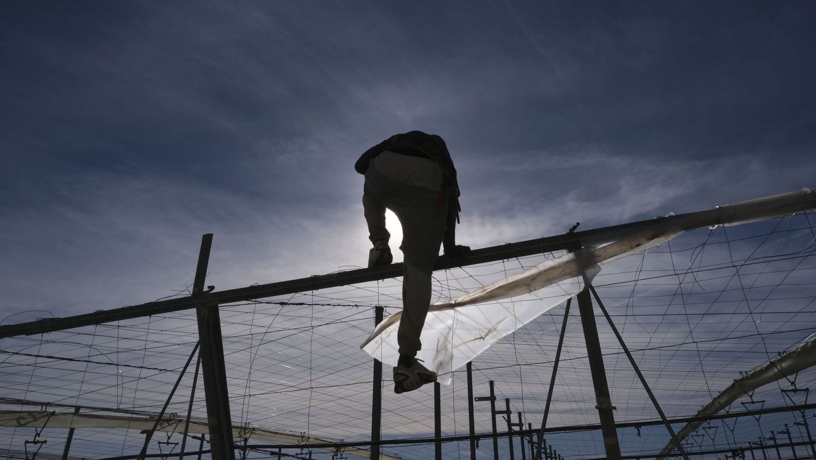 Los efectos del temporal de viento en los invernaderos, en imágenes