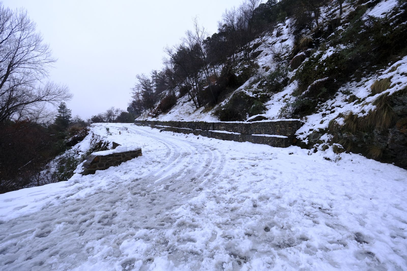 Fotogalería nevada en la Provincia de Almería