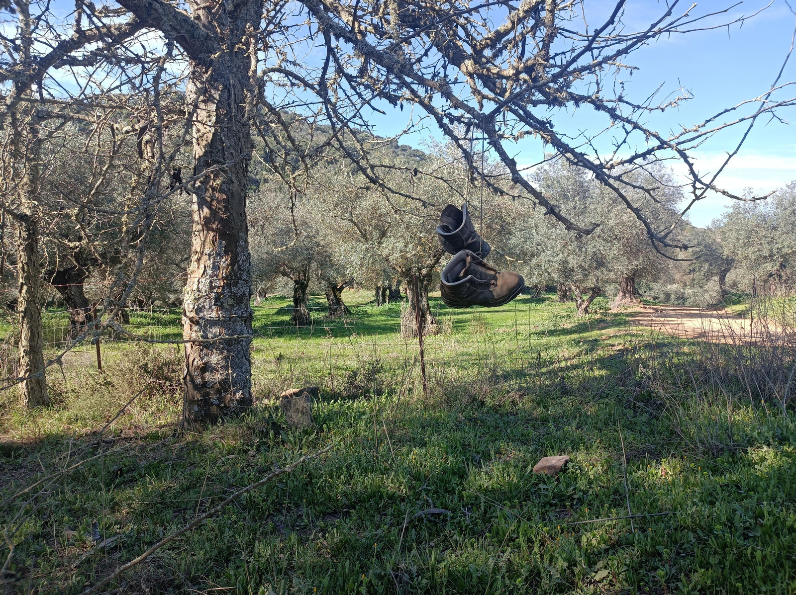 Las fotos de la circular de los Molinos del Ciudadeja