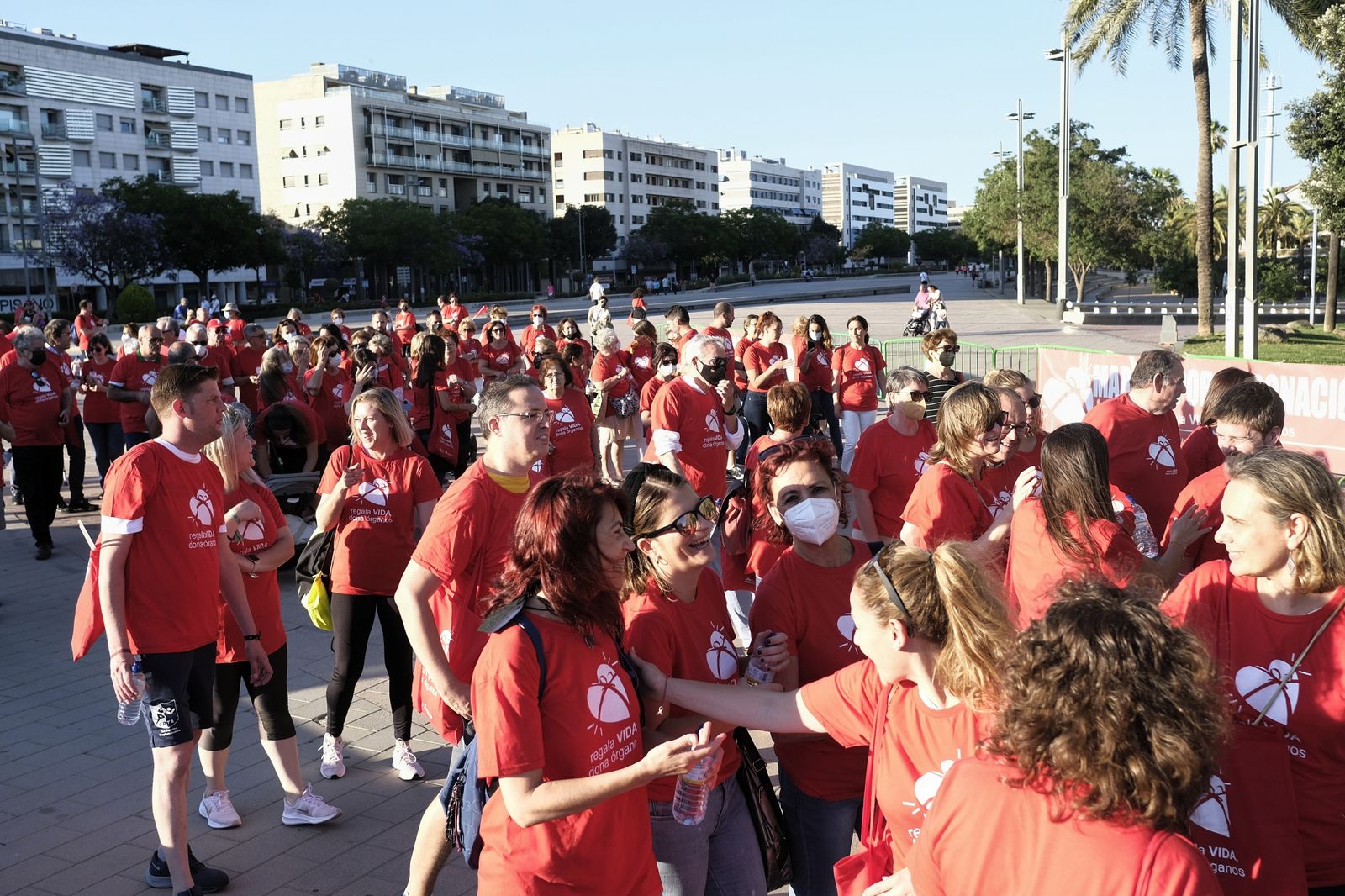 La Marcha por la Donación de Órganos de Córdoba, en imágenes