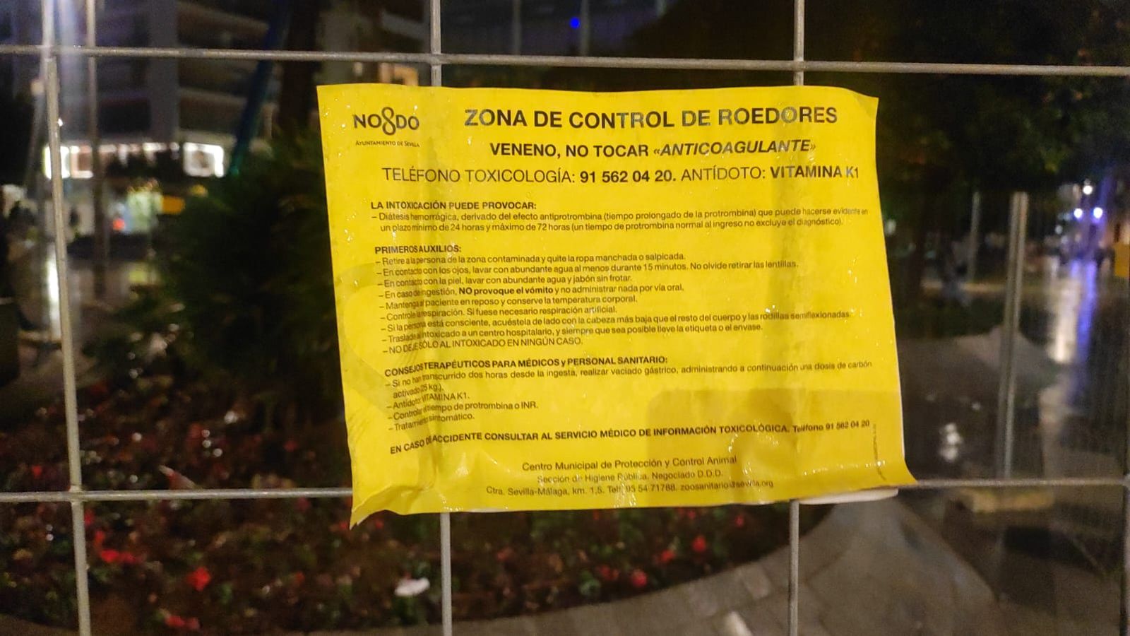 Cartel del Ayuntamiento de Sevilla