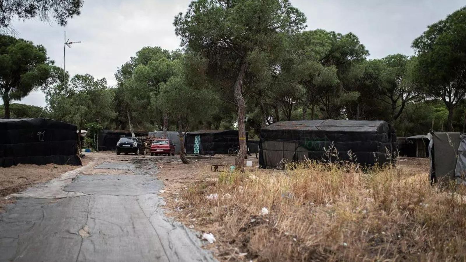 Un asentamiento chabolista en la provincia de Huelva. Un asentamiento chabolista en la provincia de Huelva.