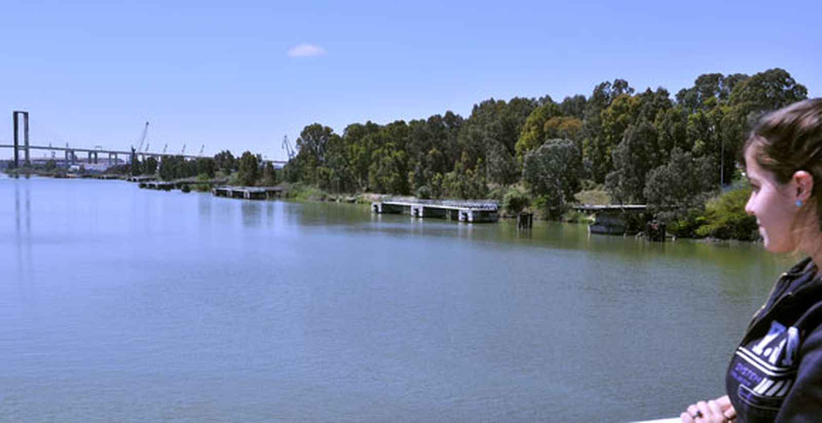 Freno al proyecto de Sevilla Park un año después de iniciarse los trámites