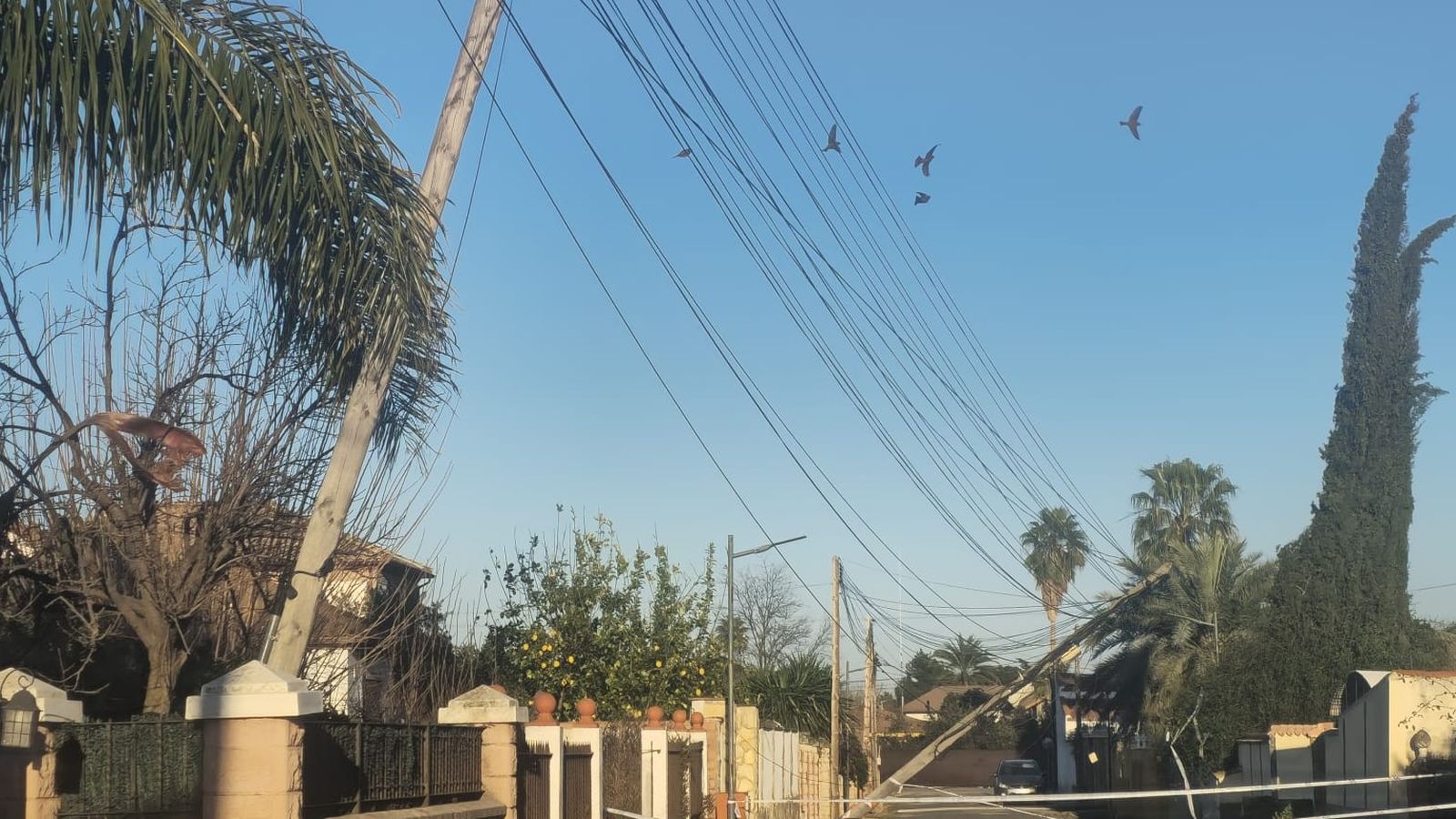 Los dos postes volcados en la calle Doña Francisquita.