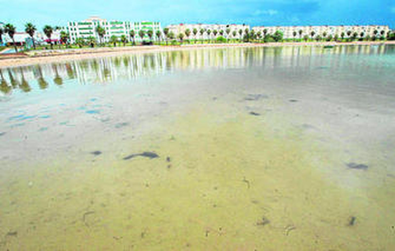 Las playas puertorrealeñas ya tienen todo a punto para comenzar la temporada estival.