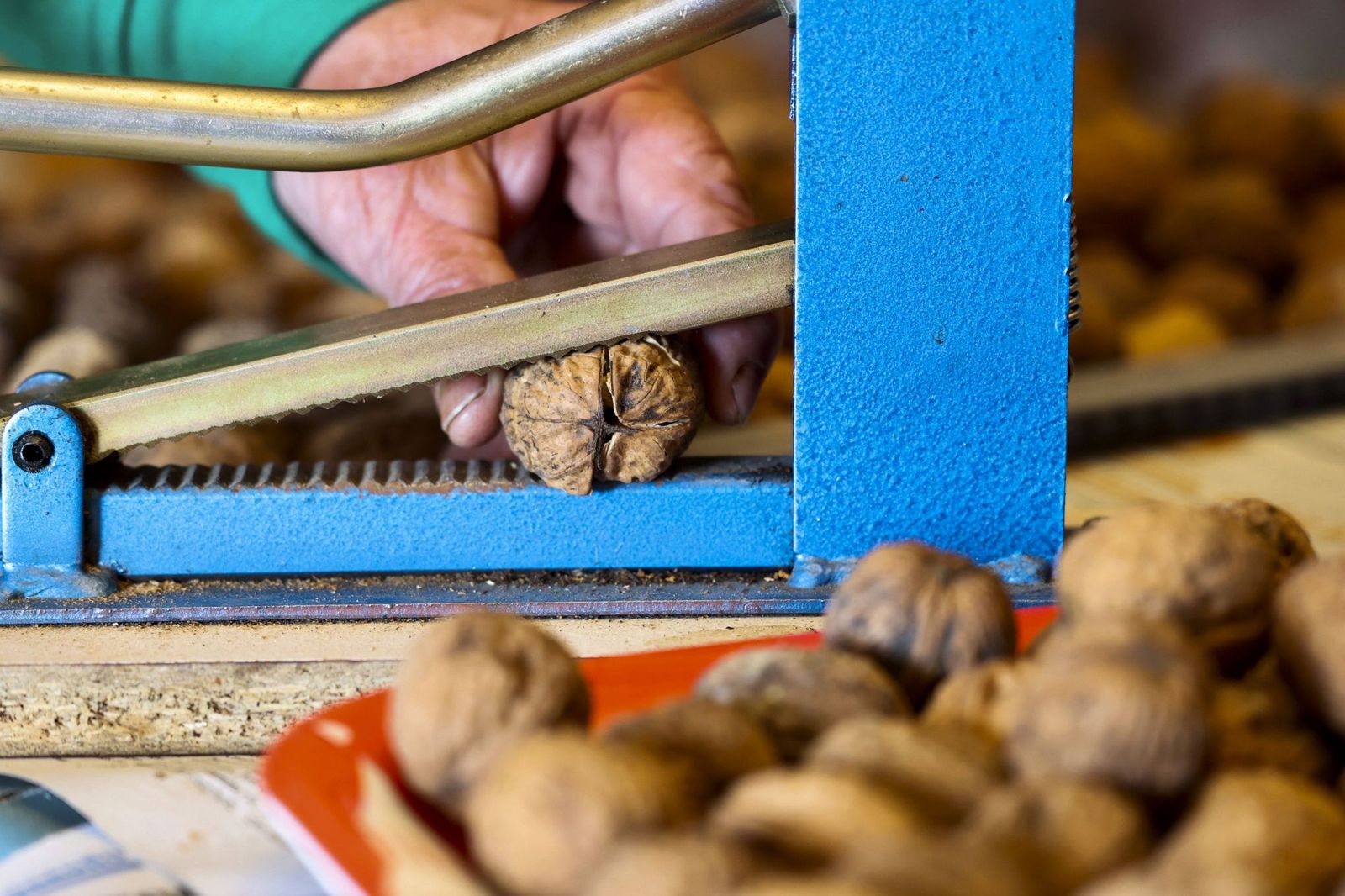 Los mejores alimentos para luchar contra el envejecimiento