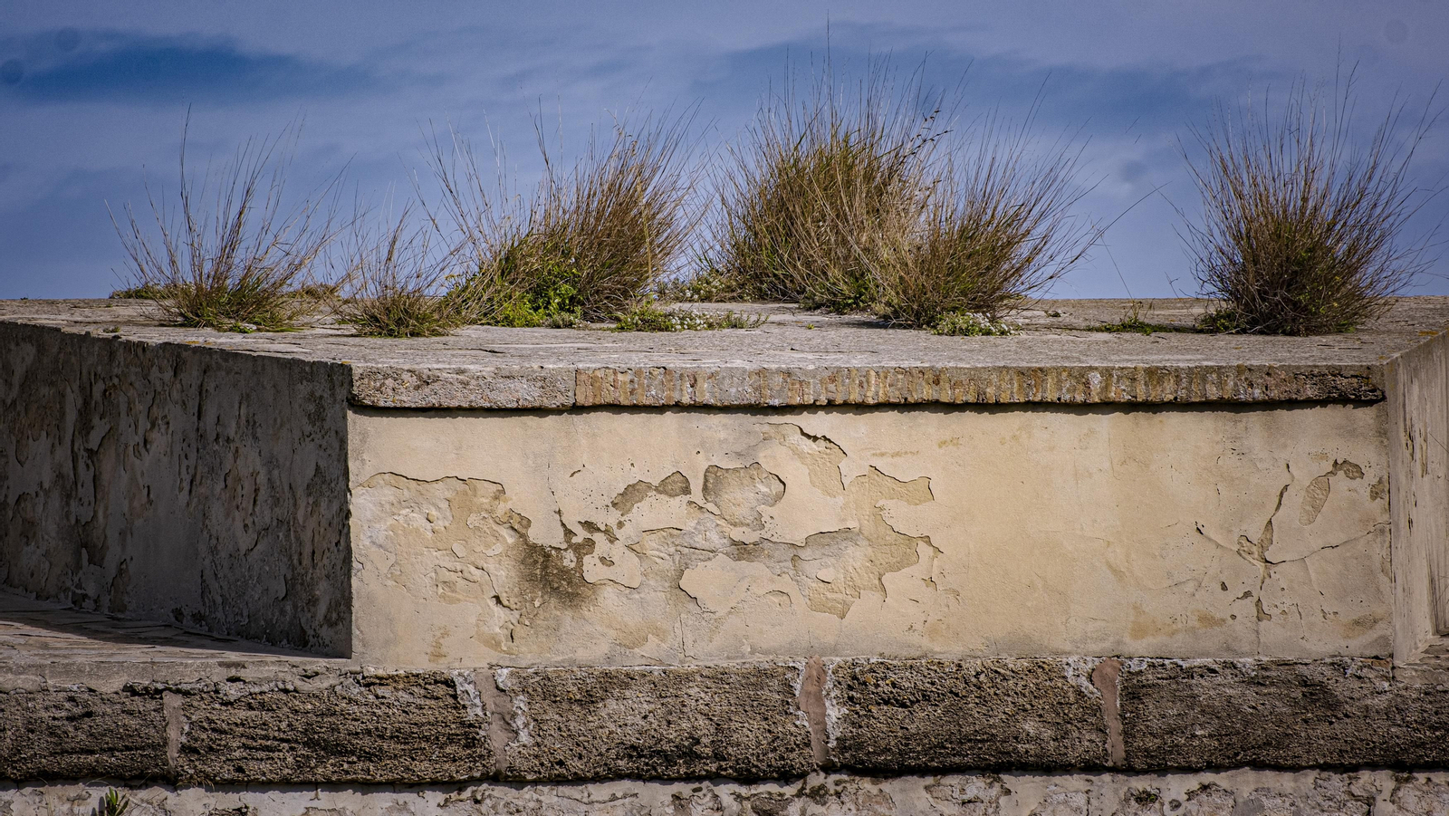Estado del lienzo de muralla de las Puertas de Tierra de Cádiz.