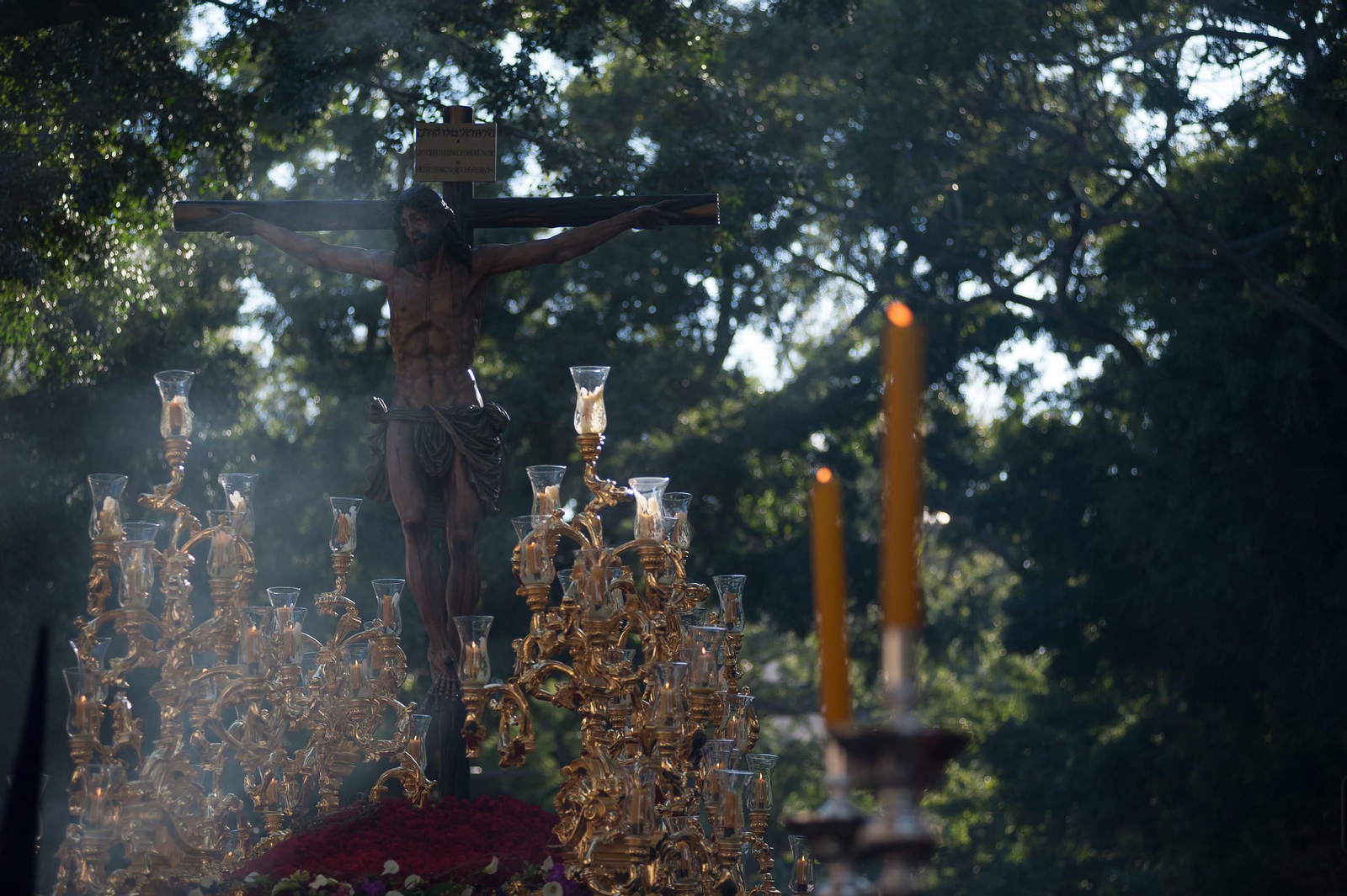 Las fotos de Salud en el Domingo de Ramos en Málaga