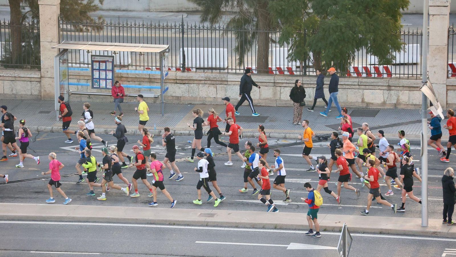 Las mejores fotos de la Maratón de Málaga 2024