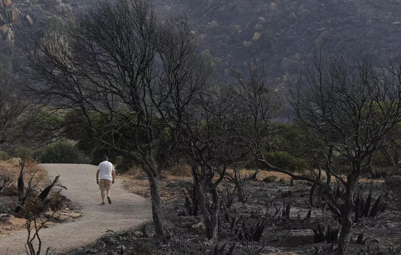 Una persona camina por la zona quemada en el incendio de Tarifa.