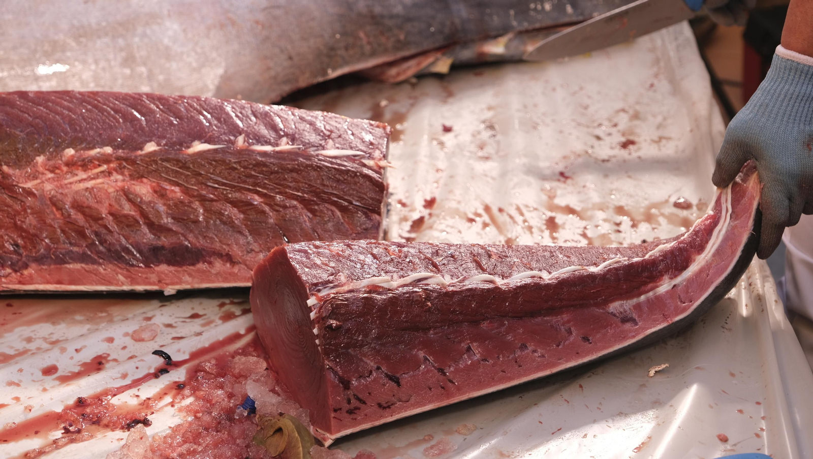 Jornadas del ronqueo del atún rojo de almadraba, en el Espacio Gastrómico Tony García.