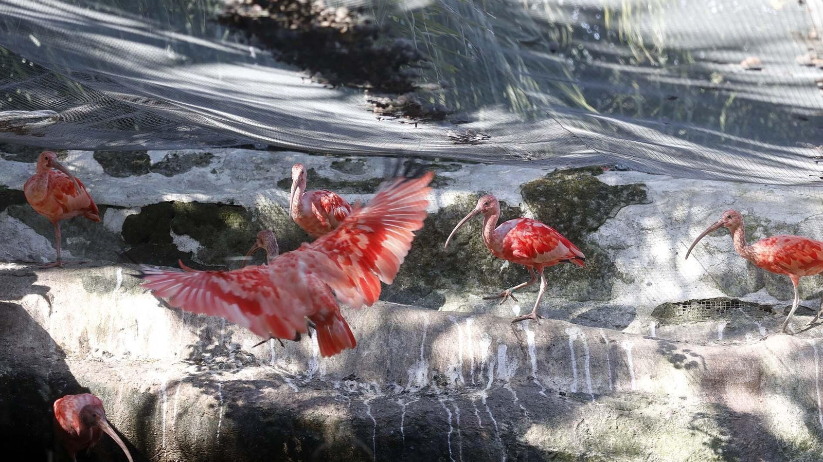 Las fotos del Zoo de Castellar de la Frontera