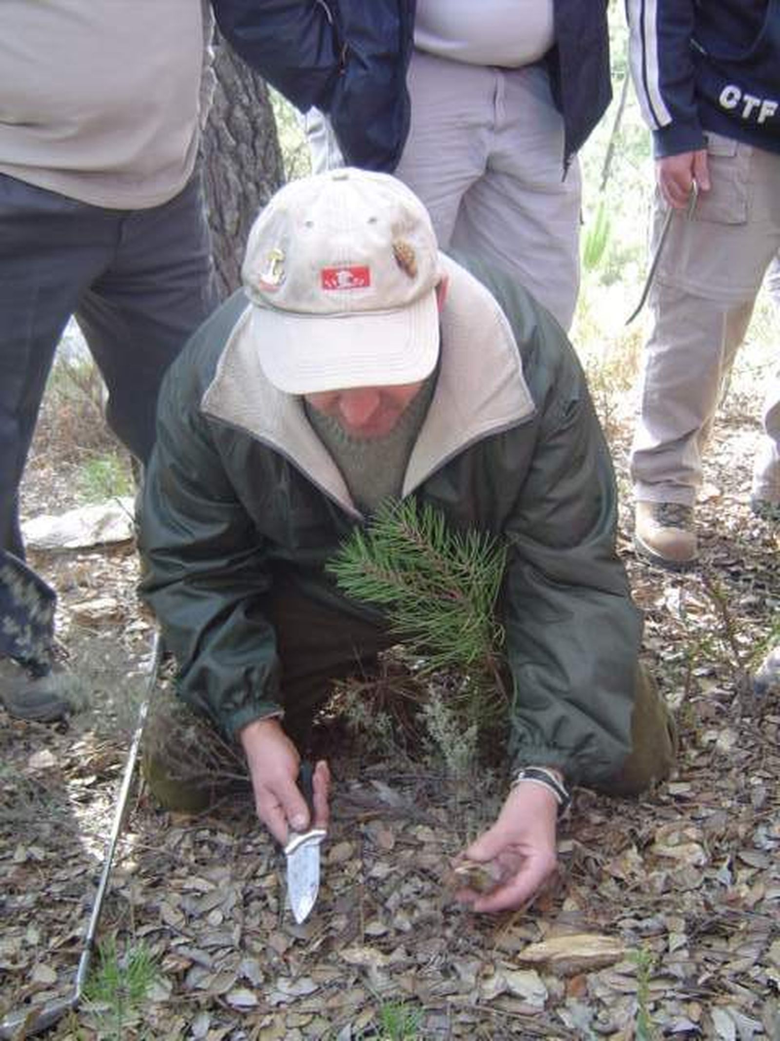 Recolección de gurumelos.