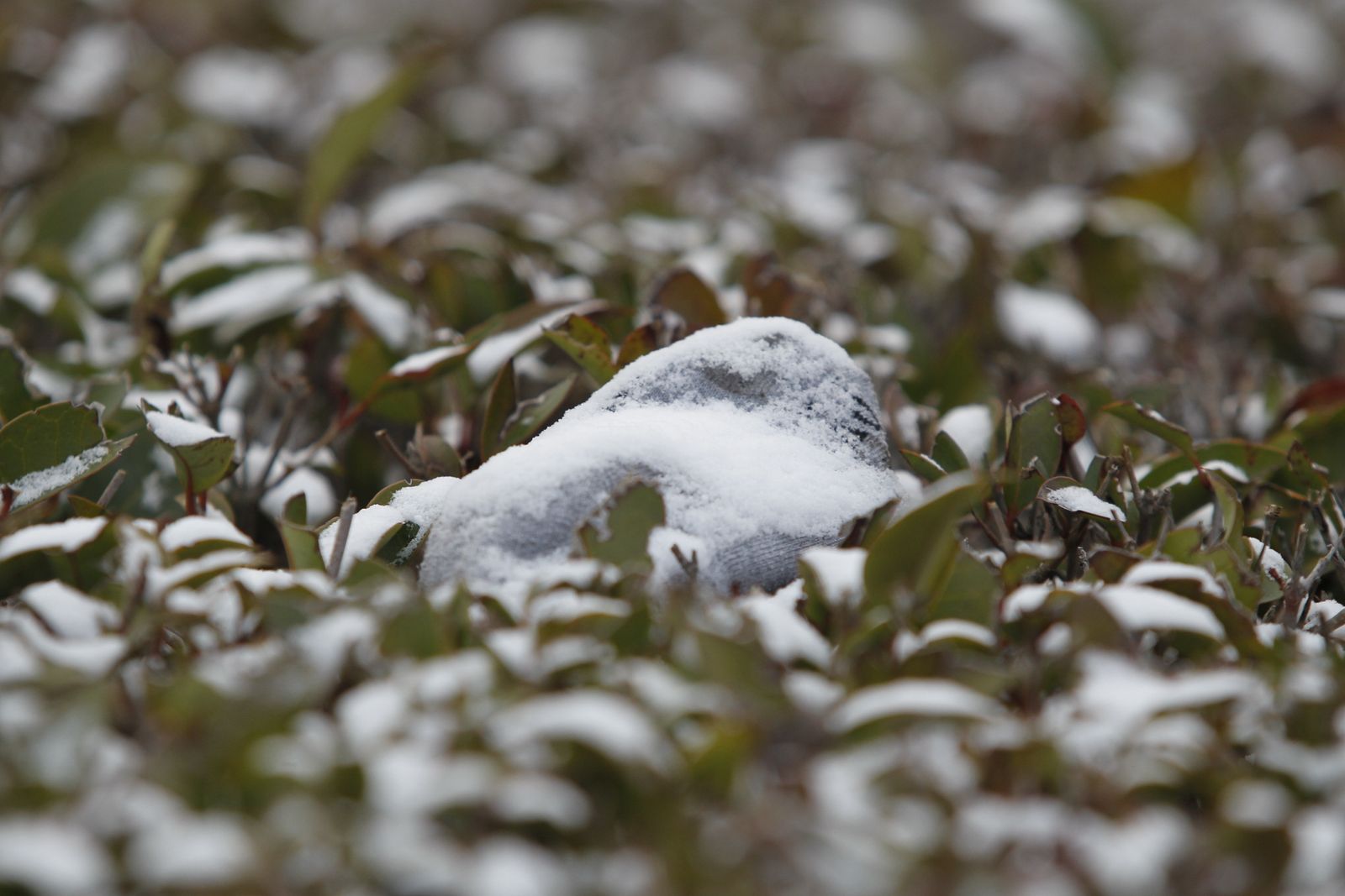 Las imágenes de la ola de frío siberiano