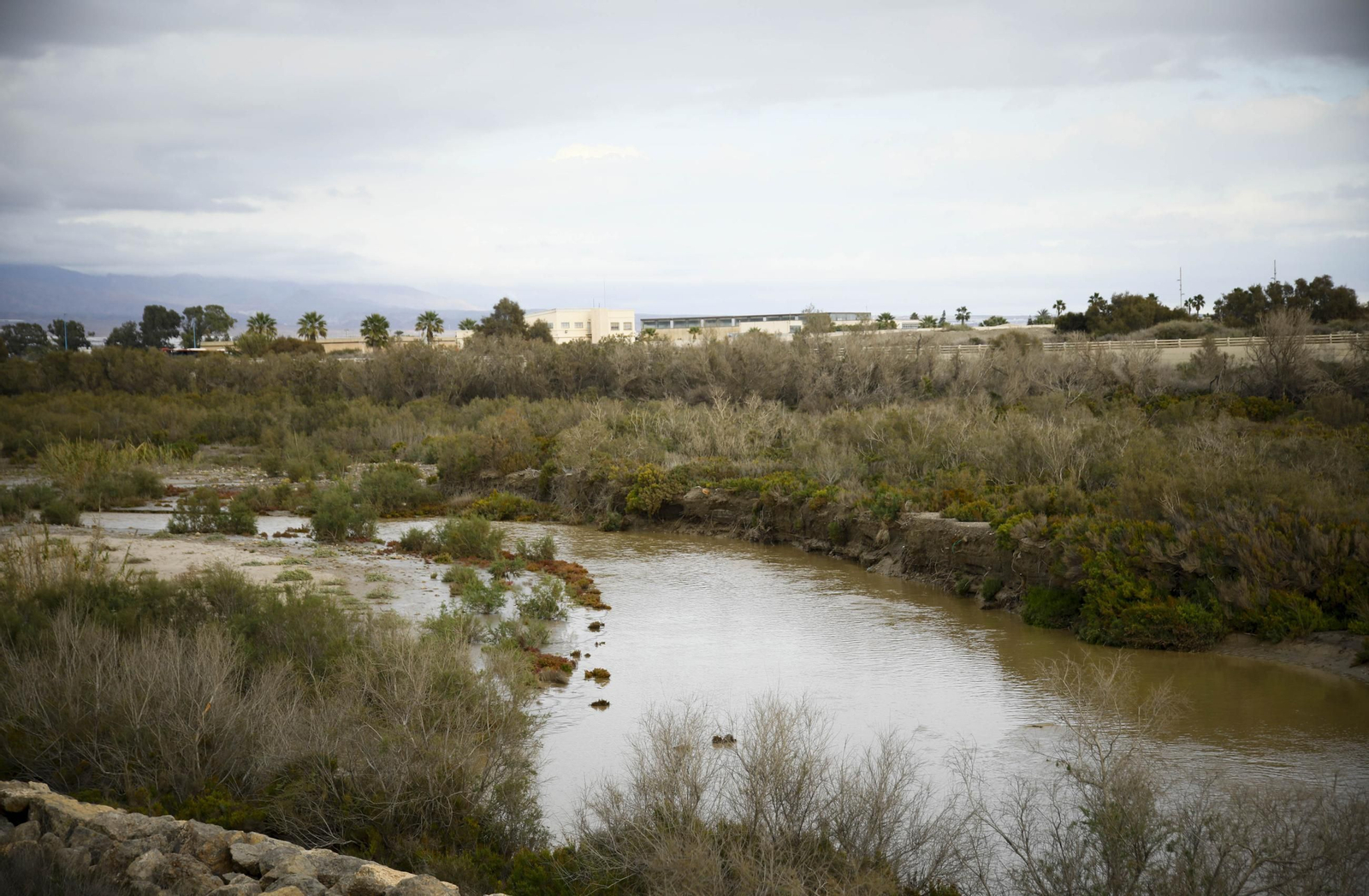 La desembocadura del río Andarax, en imágenes