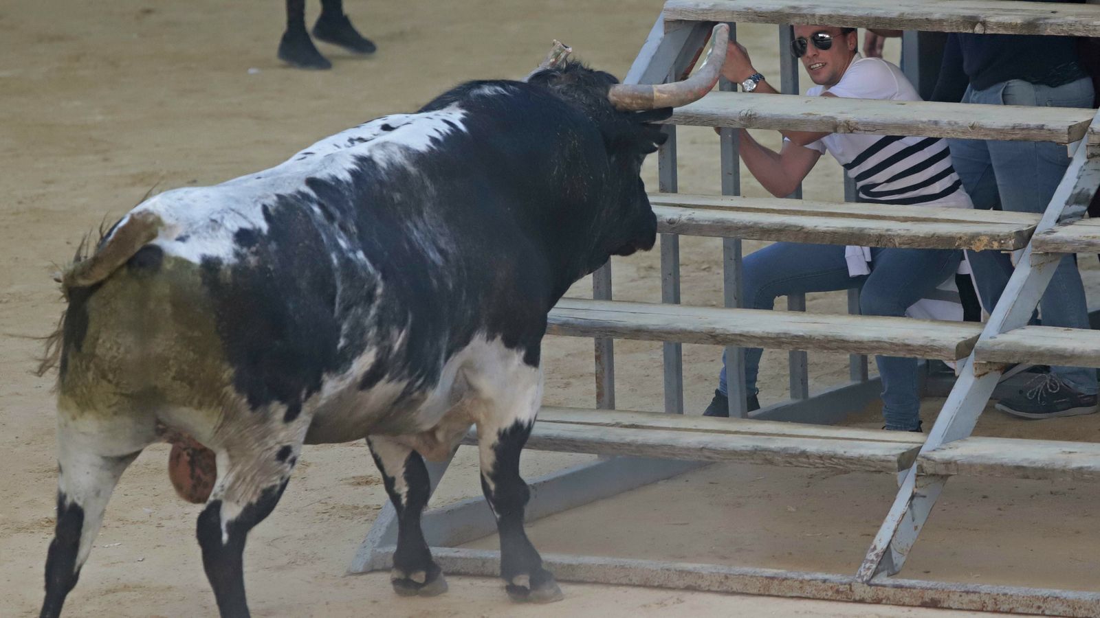 Toro de la Víspera en Los Barrios