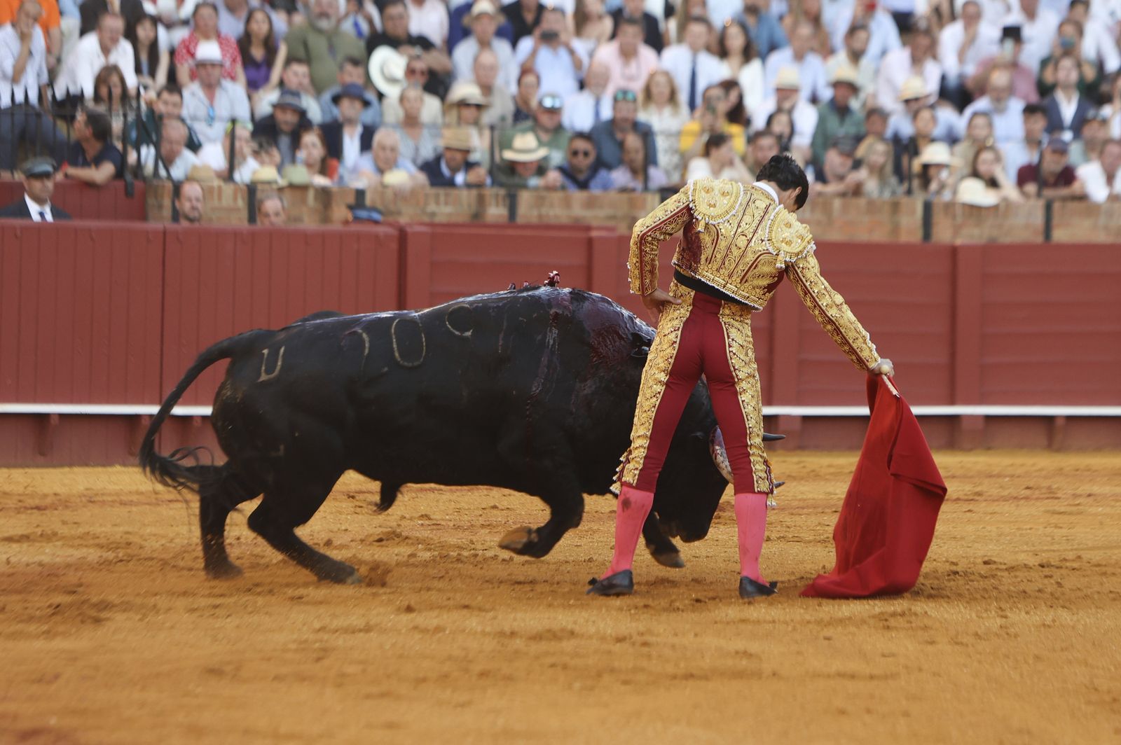 Corrida de toros de Morante de la Puebla, José María Manzanares y Pablo Aguado