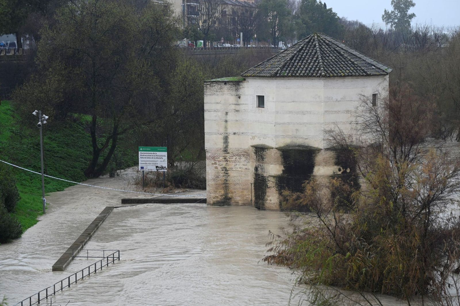Las impactantes imágenes de la crecida del río Guadalquivir a su paso por Córdoba