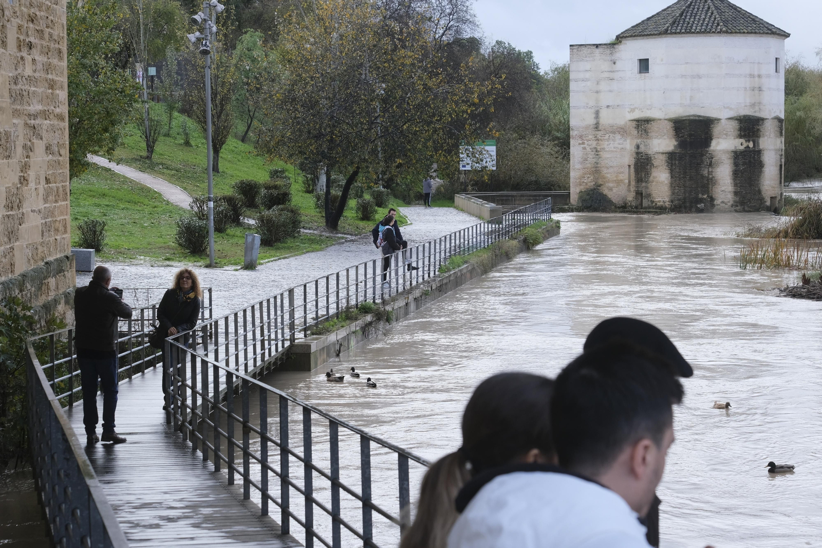 La crecida del río Guadalquivir tras las lluvias en Córdoba, en imágenes