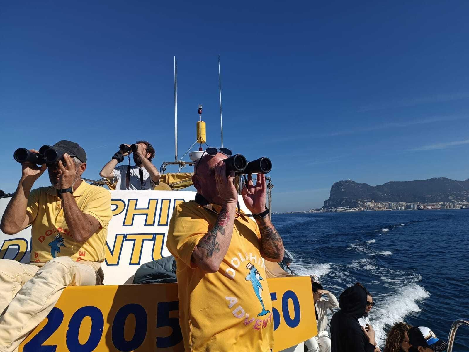 Avsitamiento de delfines en el Campo de Gibraltar