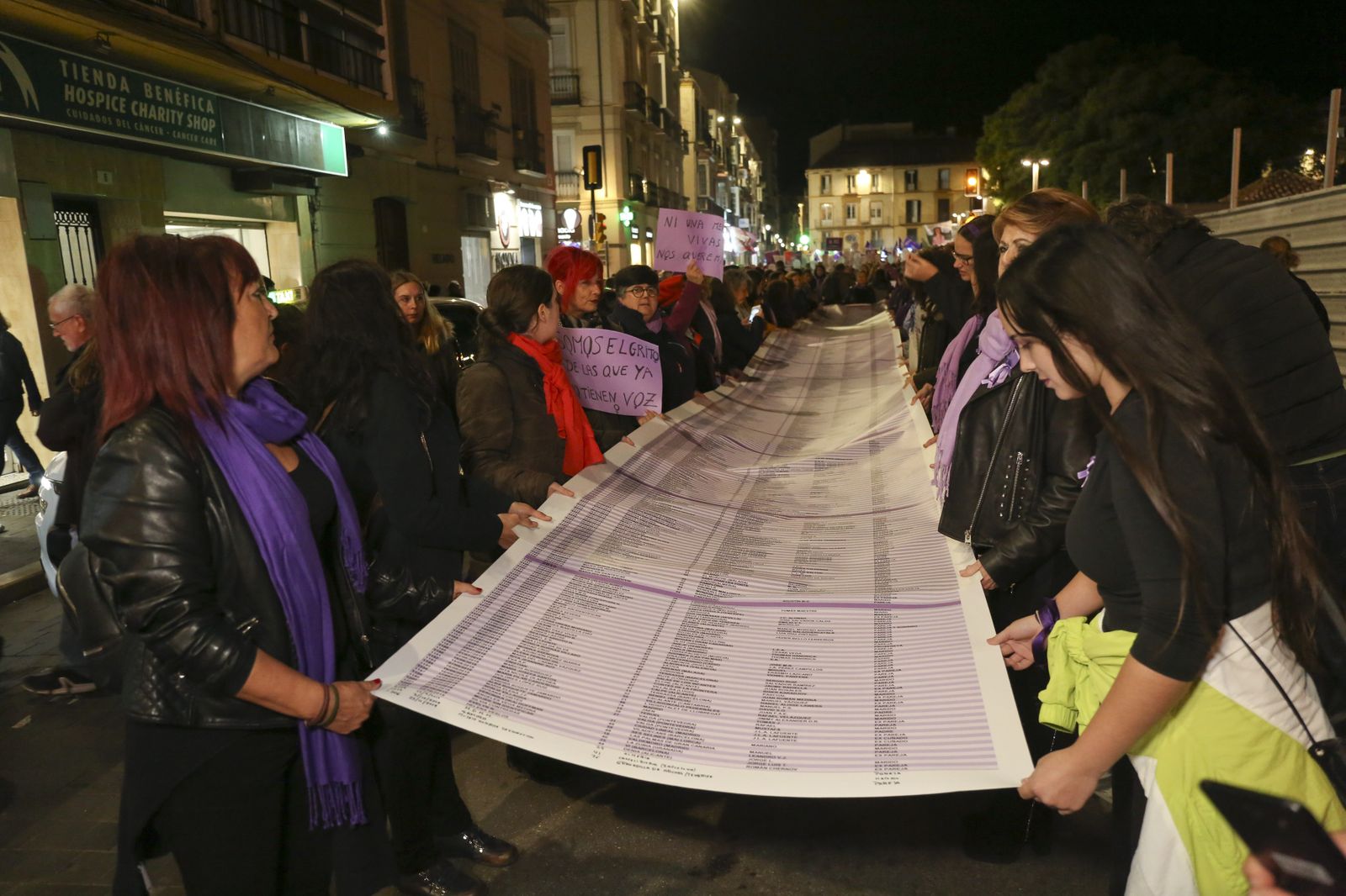 Fotos de la manifestación del 25N contra la violencia de género en Málaga
