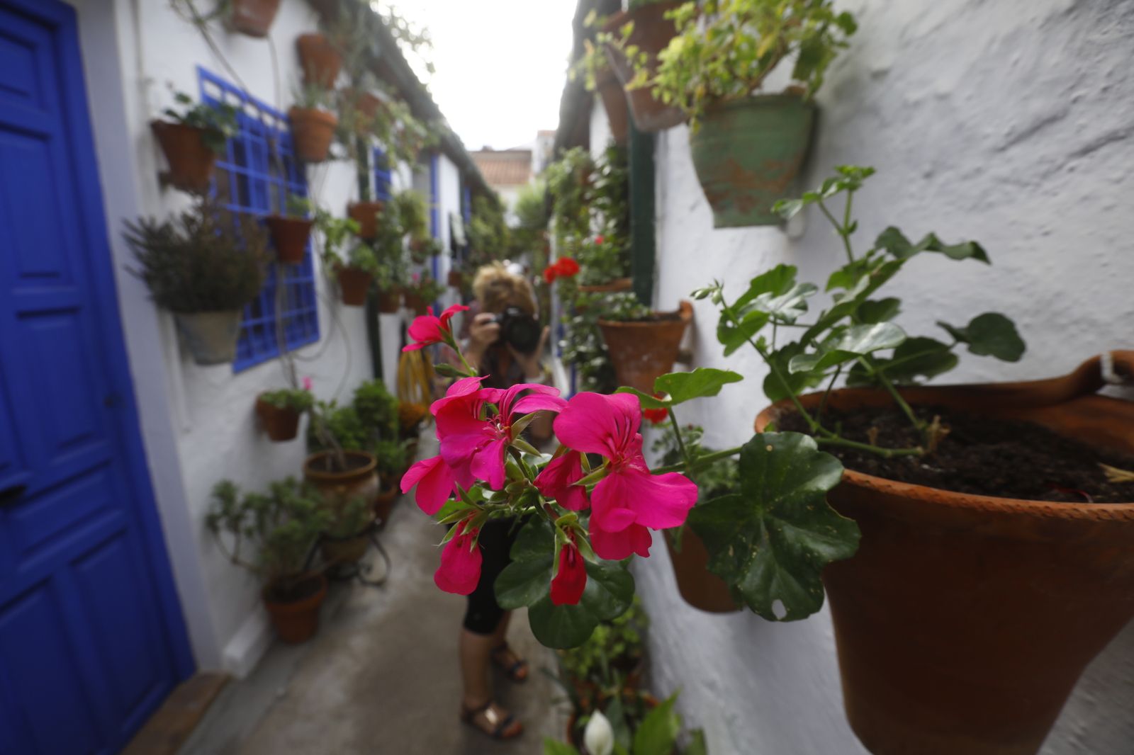 Las fotografías del primer día de apertura de los Patios de Córdoba en otoño