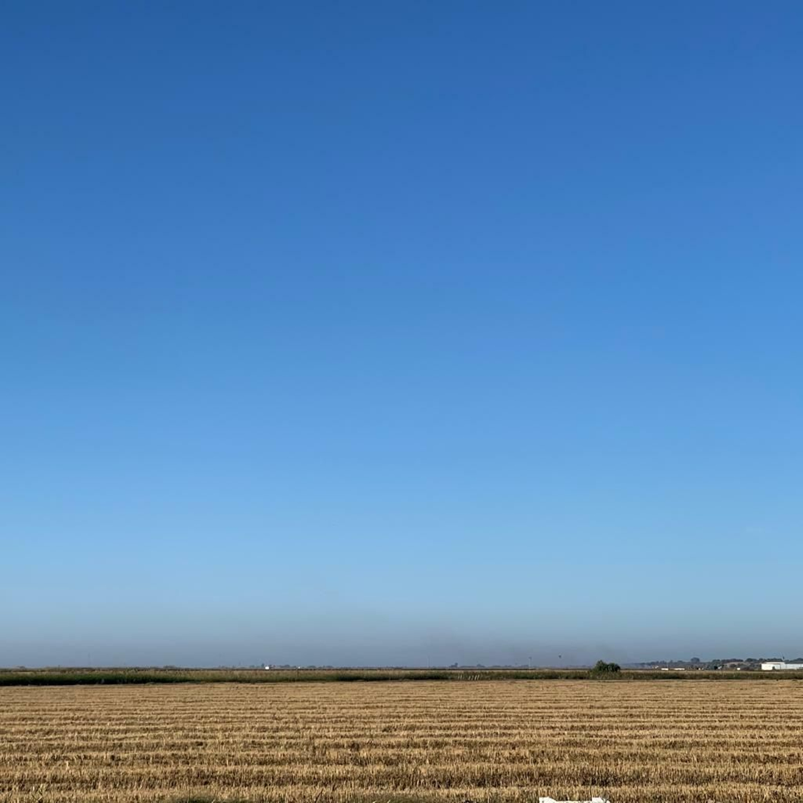 Parcela recién cosechada, con paja y rastrojos.