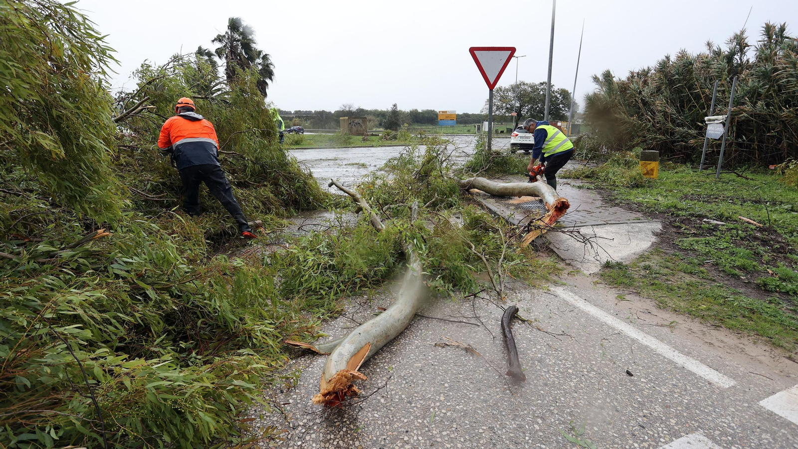 Imágenes del temporal de viento y lluvia en Jerez