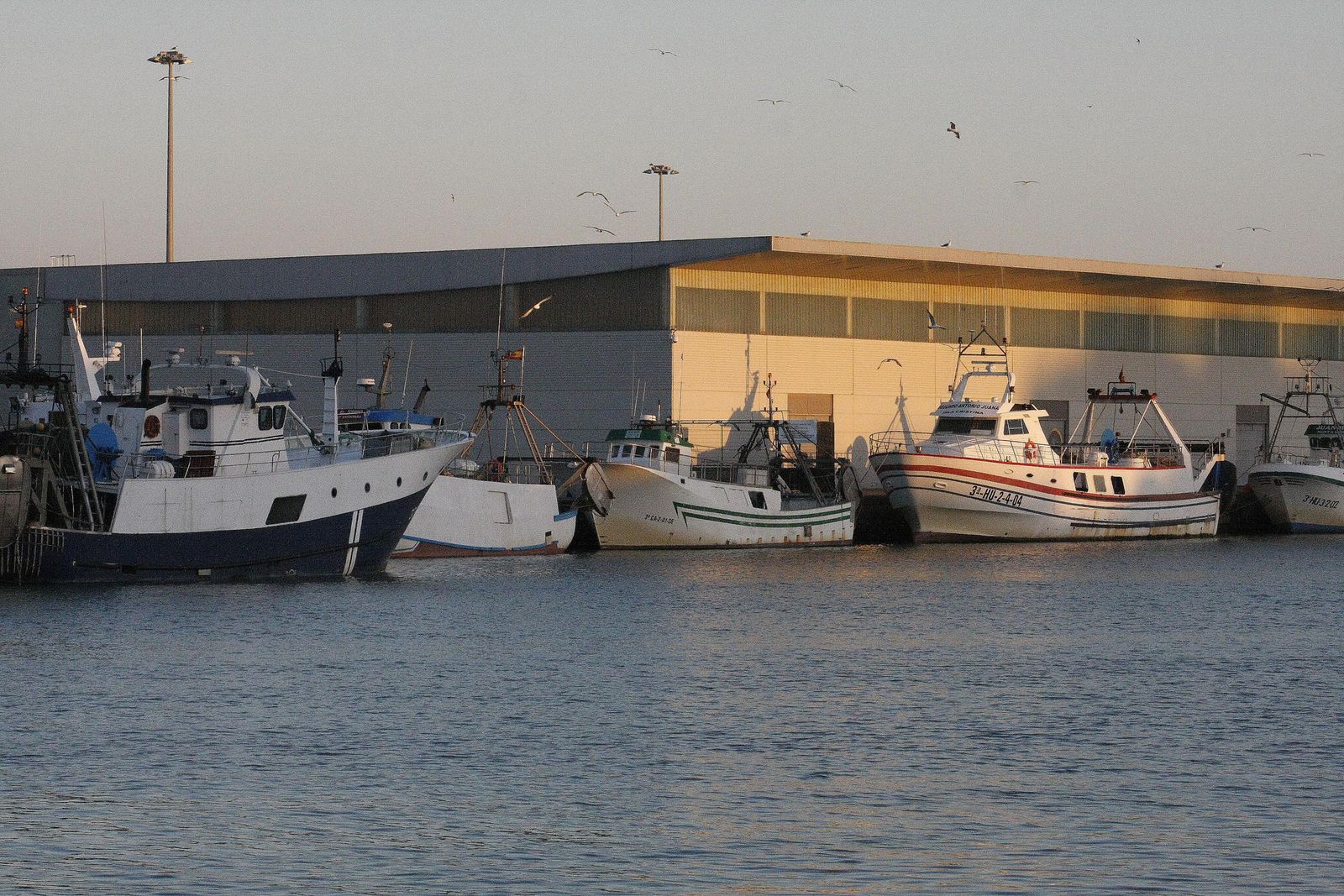 Asoven y Asodeco esperan retomar con normalidad la compra-venta de pescado en la lonja.