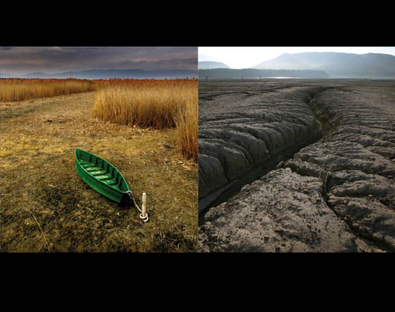 Photoclima Greenpeace