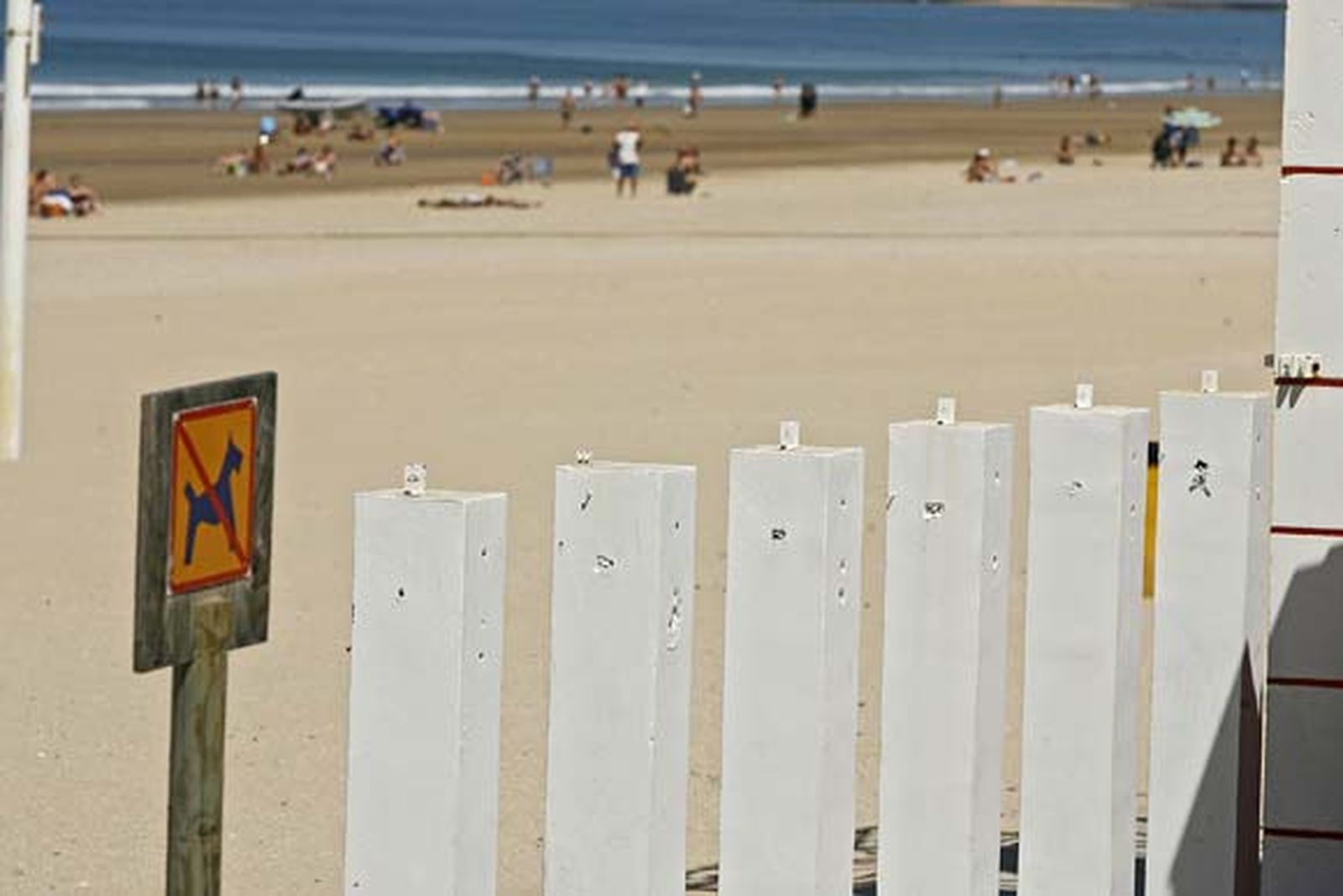 Decenas de operarios se afanan estos días por dejar la zona estrella del verano gaditano en perfecto estado./Joaquín Pino

Foto: Joaquin Pino