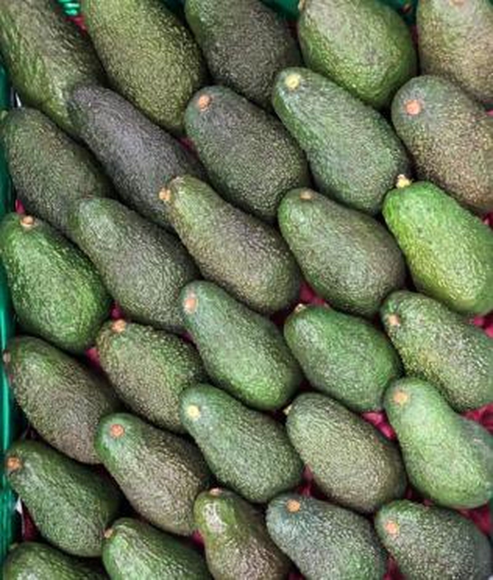 Aguacates de Mercadona