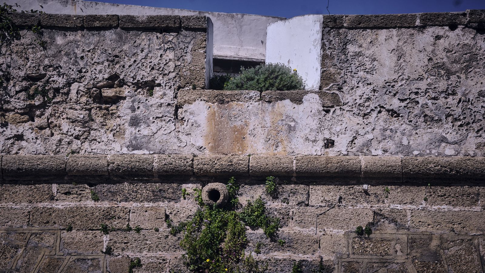 Murallas de San Carlos