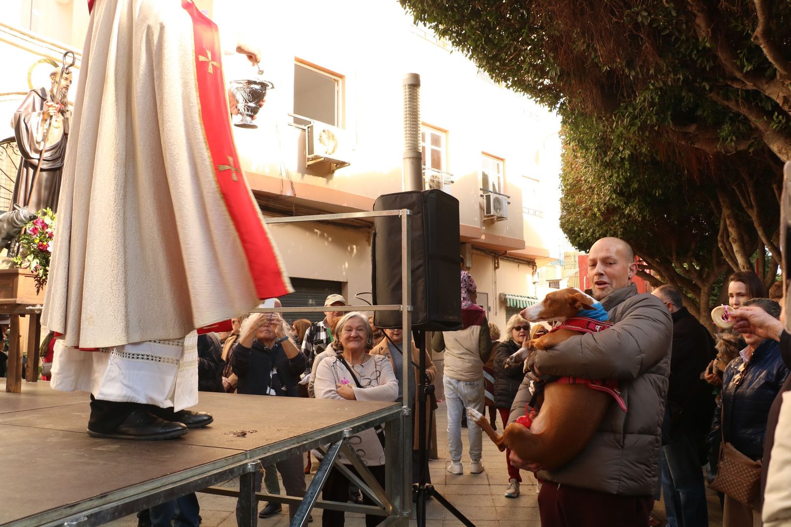 Así ha sido la bendición de las mascotas y la subasta de 'rabicos' en el casco histórico de Almería