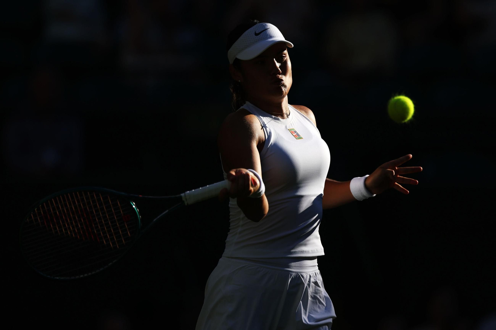 Wimbledon Championshi (13665510).jpg