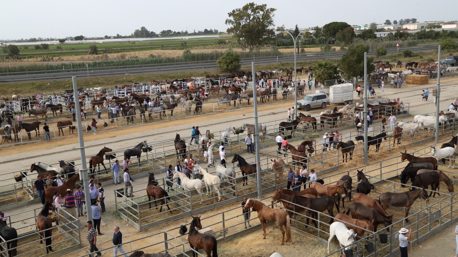 La feria agroganadera de Los Palacios se cierra con un negocio de tres millones de euros