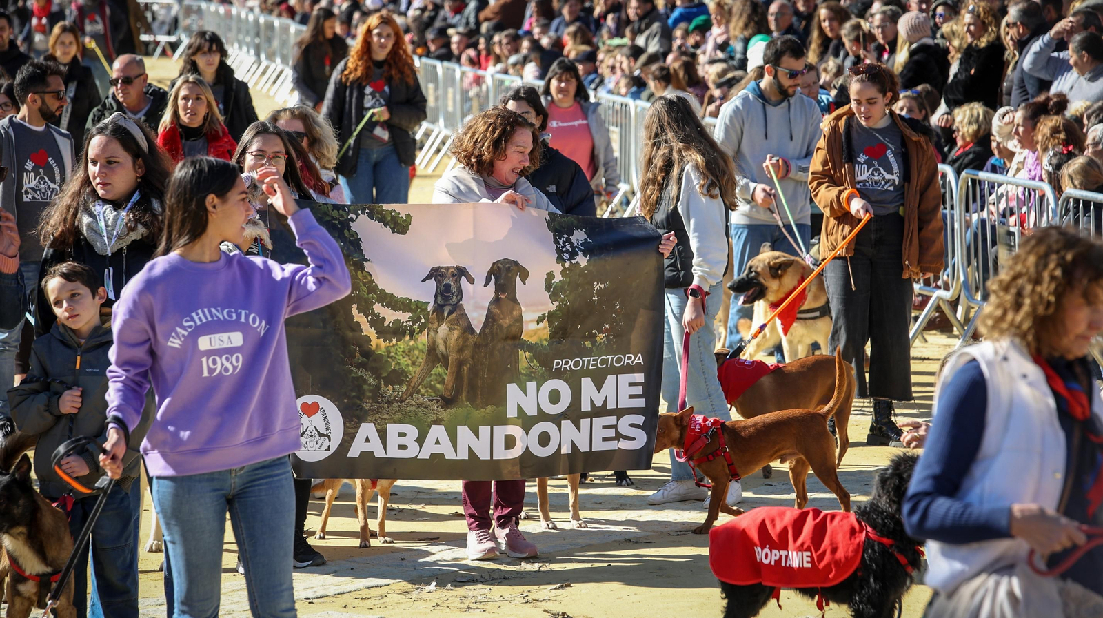 Búscate en San Antón de Jerez