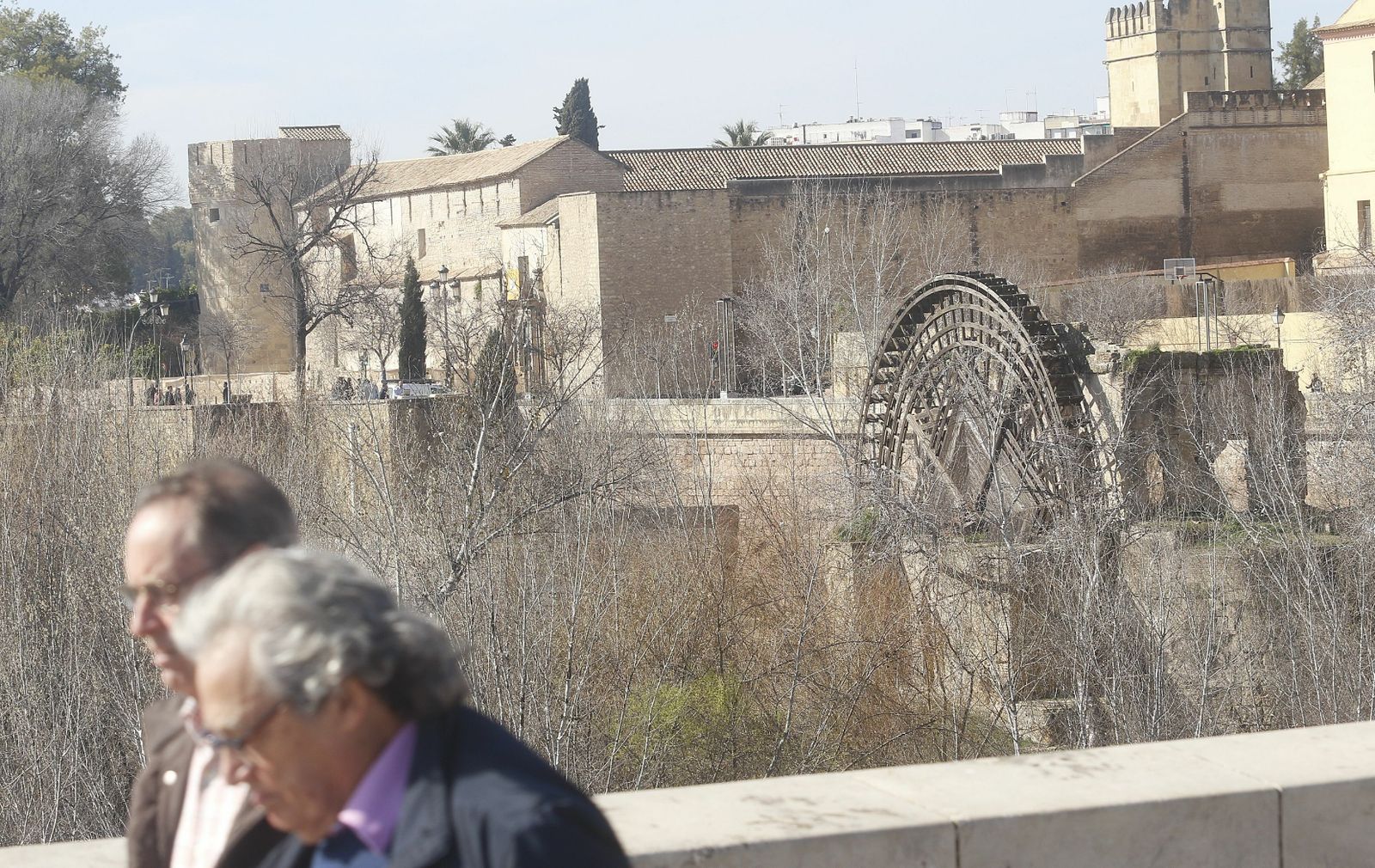 Noria del Molino de la Albolafia, vista desde el Puente Romano.