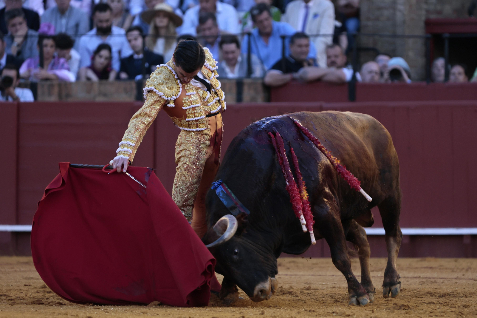 Las imágenes del festejo