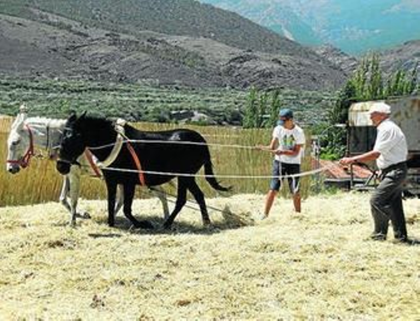 Esta iniciativa se desarrolla en las Eras Postreras de Abla.