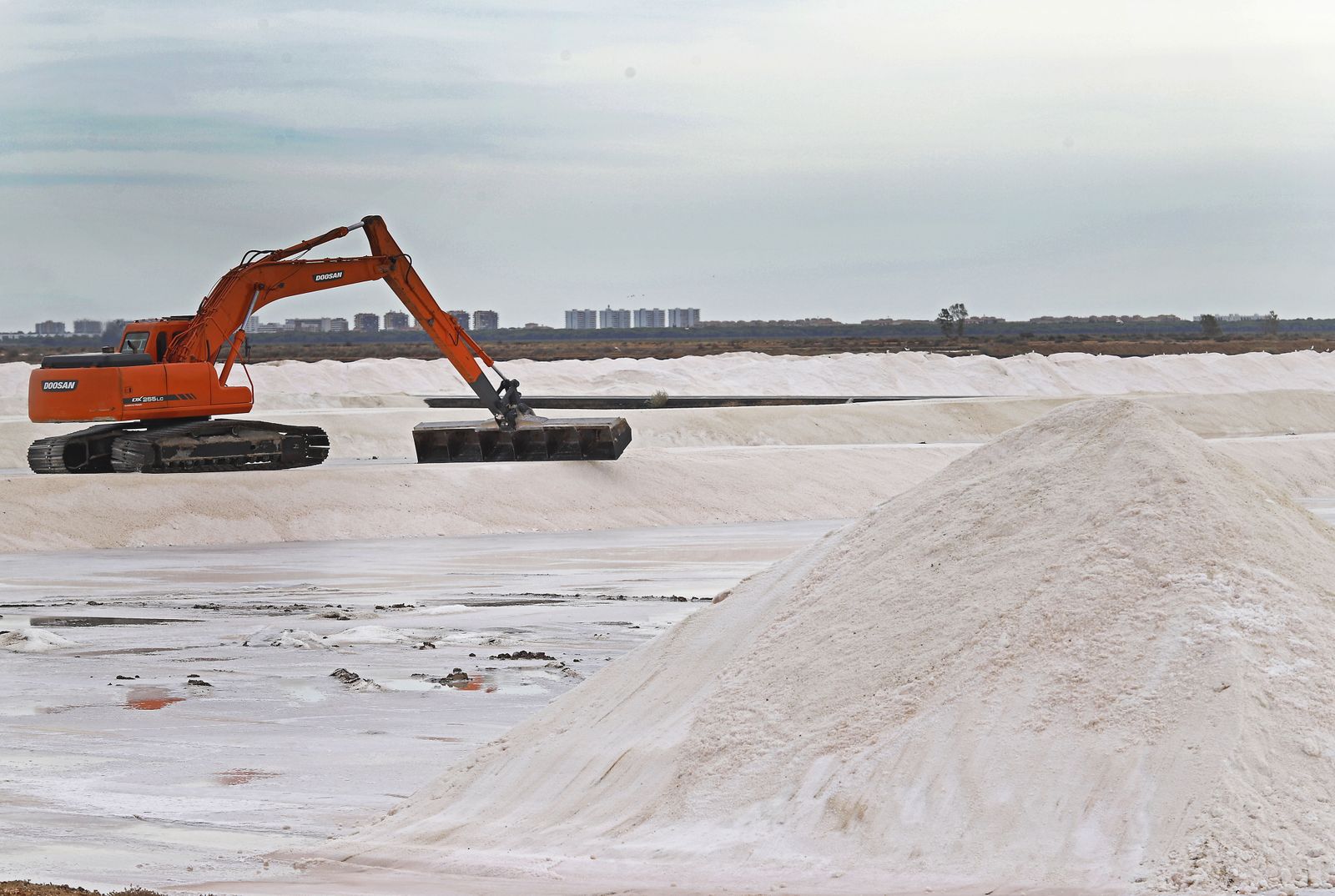 Paraje natural Marismas del Odiel, paraíso de Huelva entre salinas