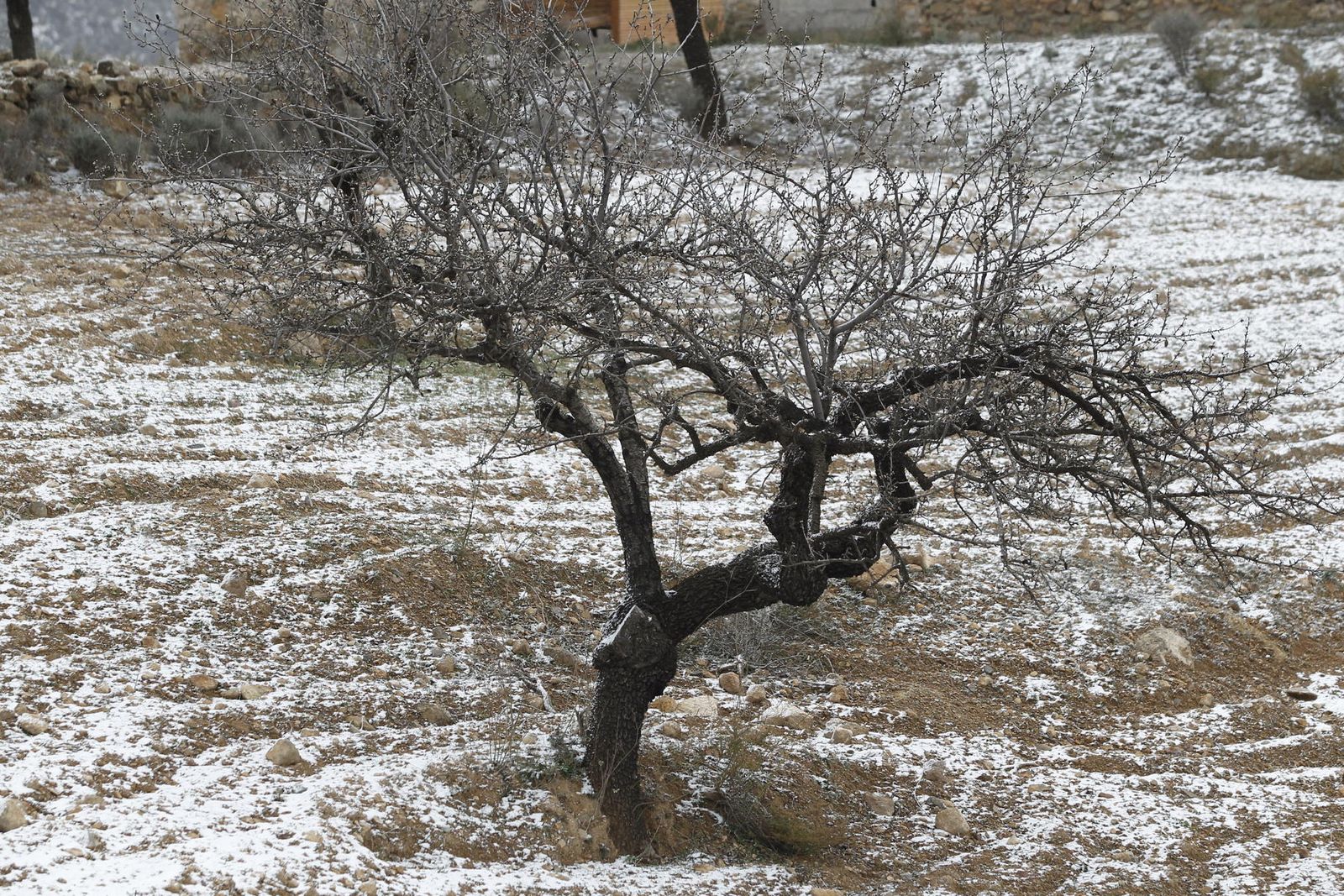 Las imágenes de la ola de frío siberiano