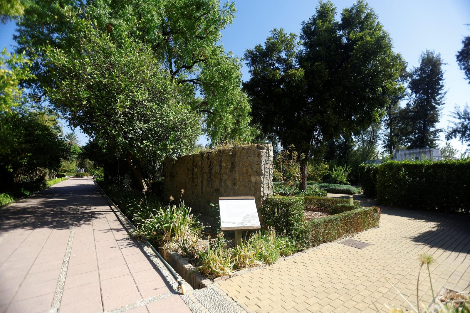 Un paseo en imágenes por el Real Jardín Botánico de Córdoba